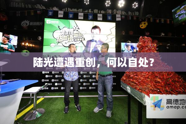 陆光遭遇重创，何以自处？