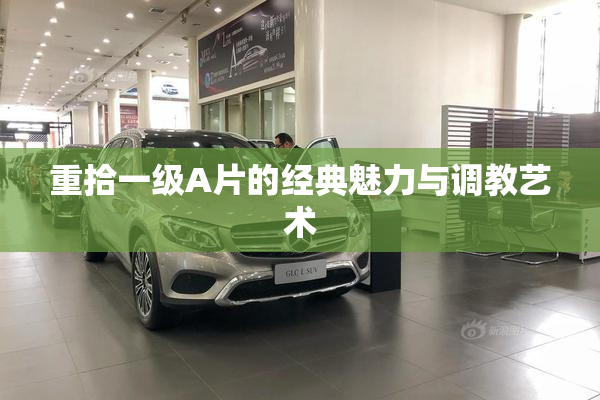 重拾一级A片的经典魅力与调教艺术