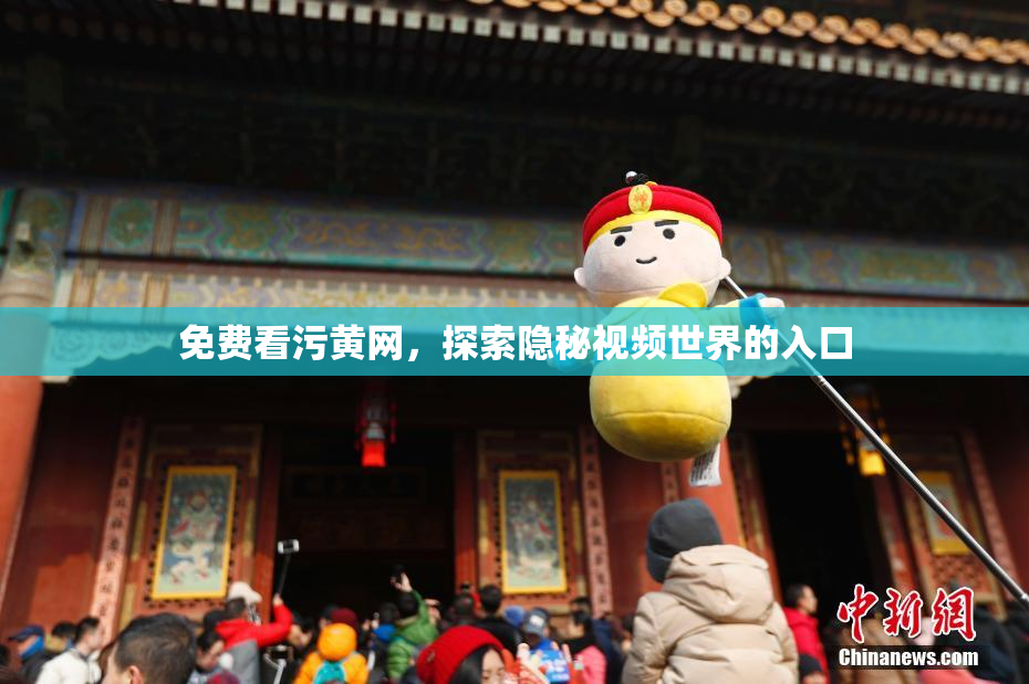 免费看污黄网，探索隐秘视频世界的入口