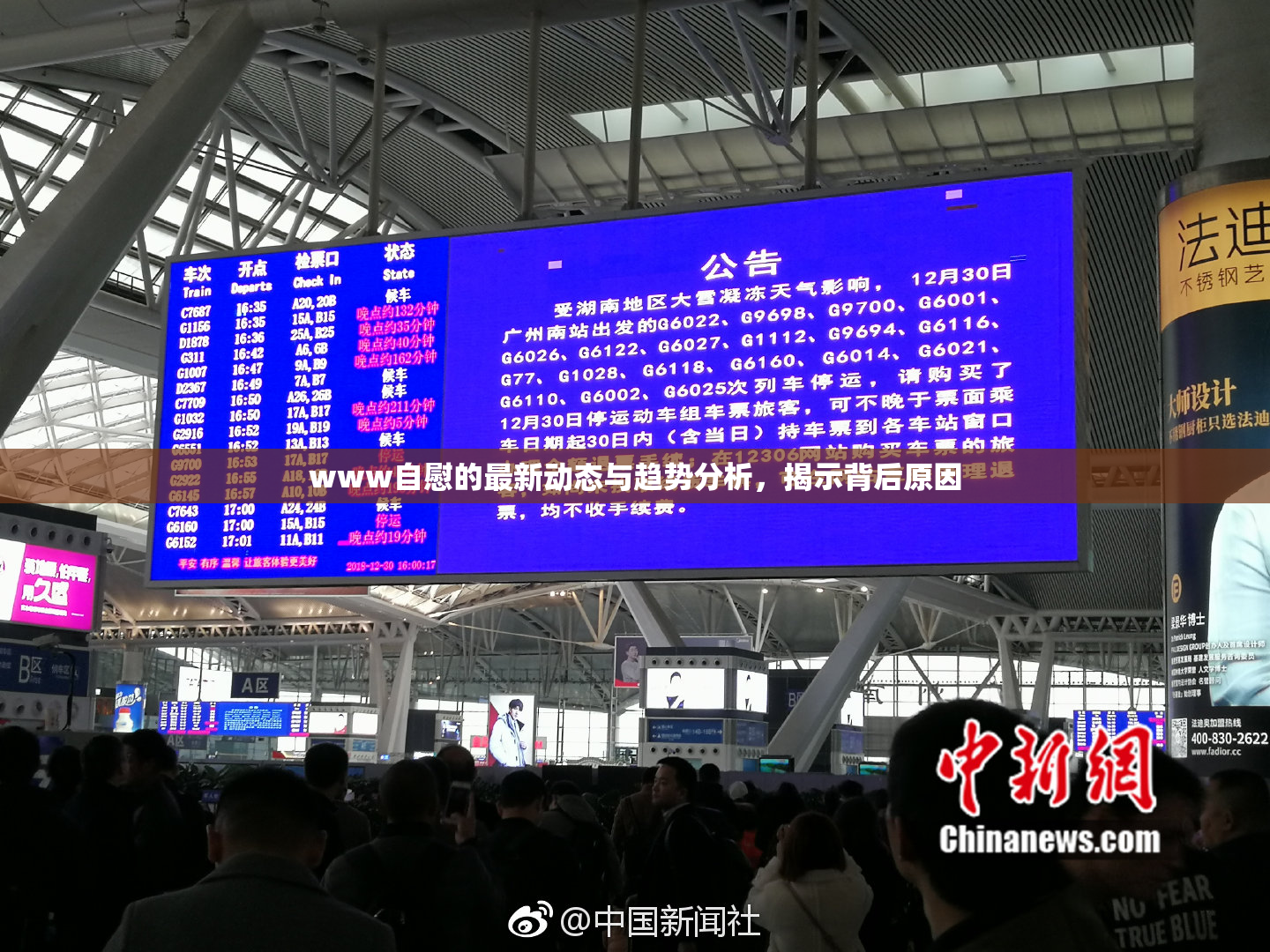 www自慰的最新动态与趋势分析，揭示背后原因