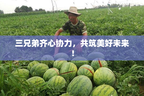 三兄弟齐心协力，共筑美好未来！