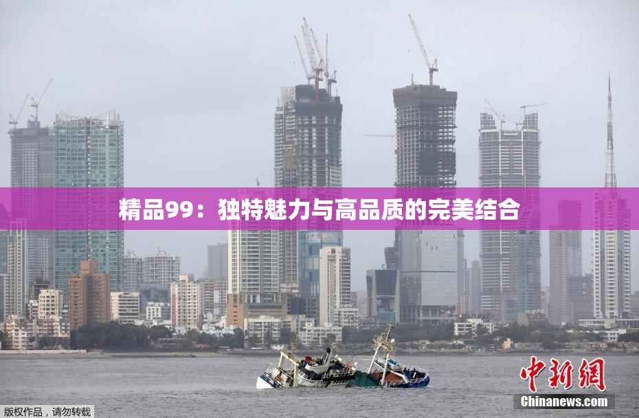 精品99：独特魅力与高品质的完美结合