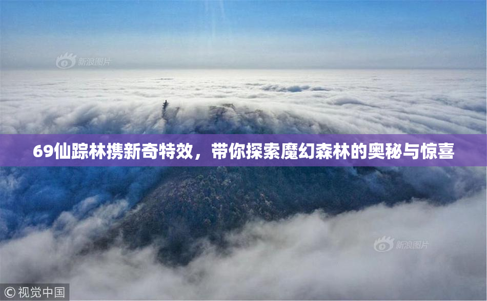 69仙踪林携新奇特效，带你探索魔幻森林的奥秘与惊喜