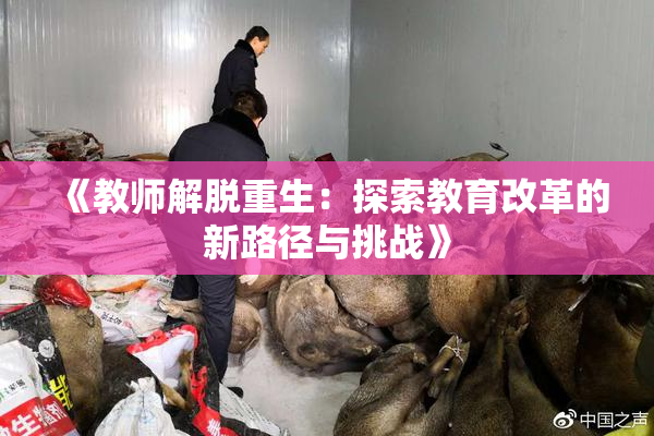 《教师解脱重生：探索教育改革的新路径与挑战》