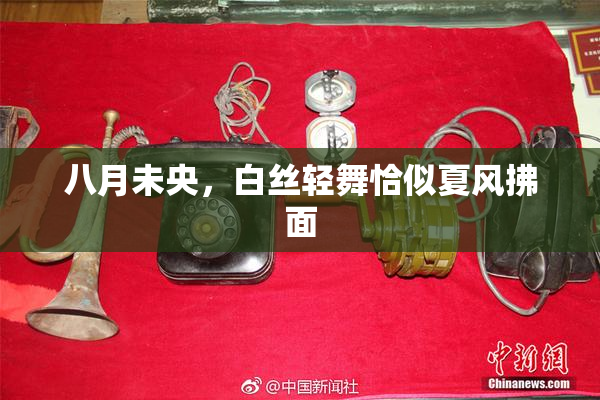 八月未央，白丝轻舞恰似夏风拂面