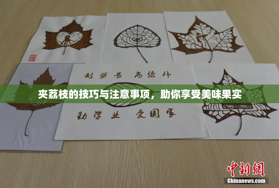 夹荔枝的技巧与注意事项，助你享受美味果实