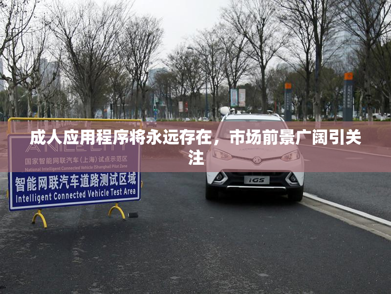 成人应用程序将永远存在，市场前景广阔引关注