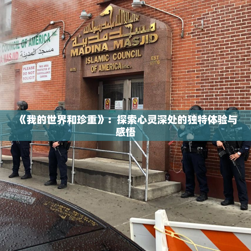 《我的世界和珍重》：探索心灵深处的独特体验与感悟