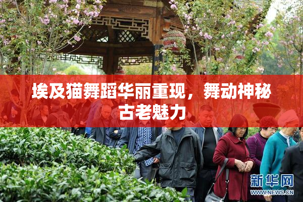 埃及猫舞蹈华丽重现，舞动神秘古老魅力