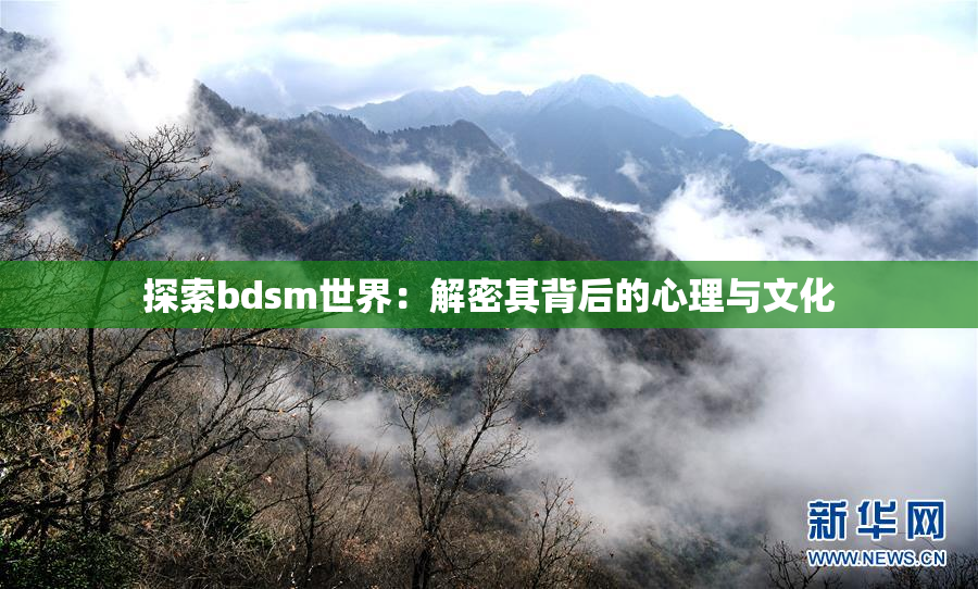 探索bdsm世界：解密其背后的心理与文化