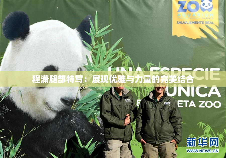 程潇腿部特写：展现优雅与力量的完美结合