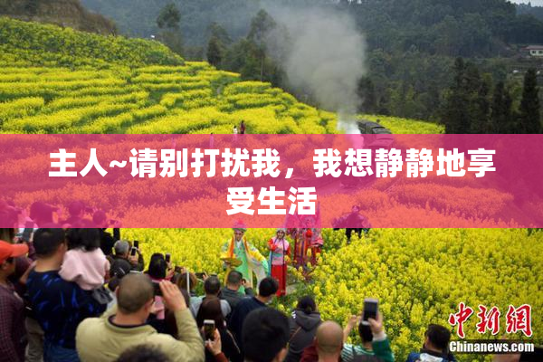 主人~请别打扰我，我想静静地享受生活