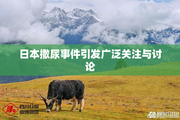 日本撒尿事件引发广泛关注与讨论