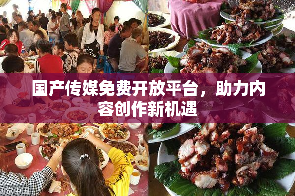 国产传媒免费开放平台，助力内容创作新机遇