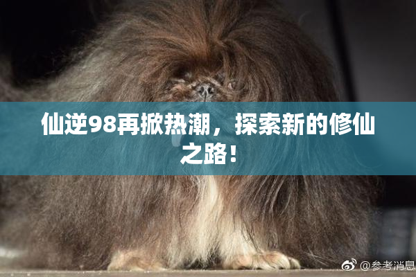 仙逆98再掀热潮，探索新的修仙之路！