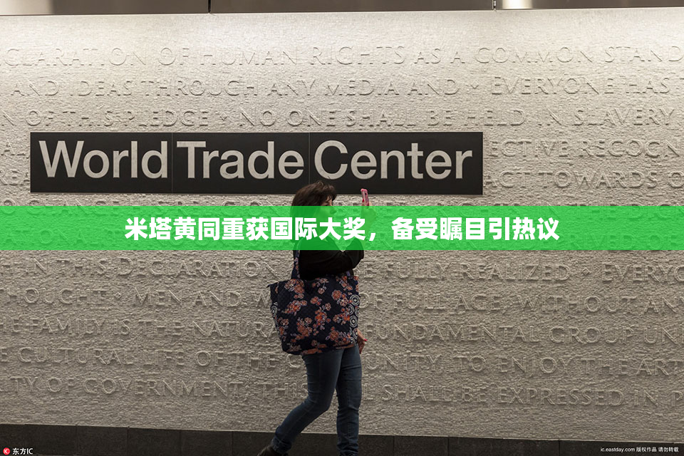 米塔黄同重获国际大奖，备受瞩目引热议