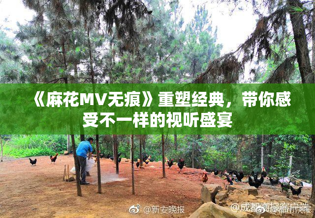 《麻花MV无痕》重塑经典，带你感受不一样的视听盛宴