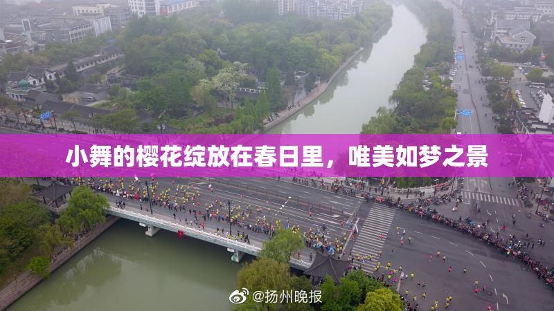 小舞的樱花绽放在春日里，唯美如梦之景