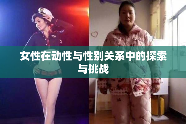 女性在动性与性别关系中的探索与挑战