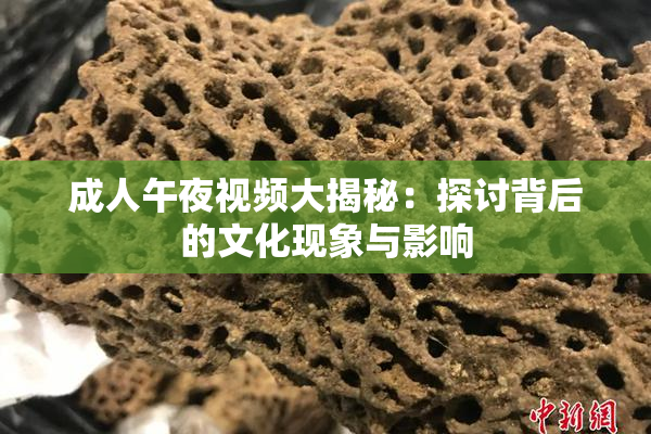 成人午夜视频大揭秘：探讨背后的文化现象与影响