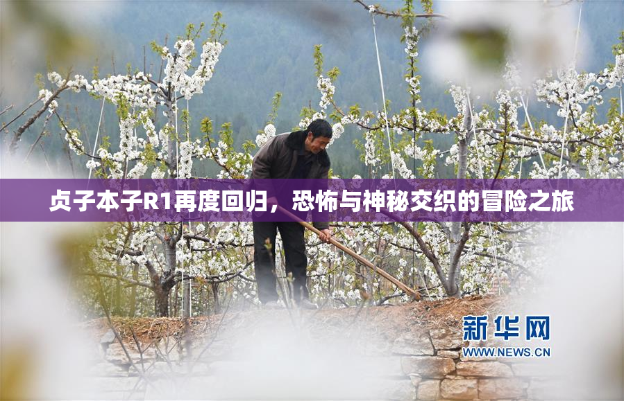 贞子本子R1再度回归，恐怖与神秘交织的冒险之旅