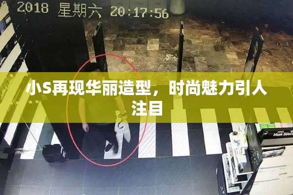 小S再现华丽造型，时尚魅力引人注目