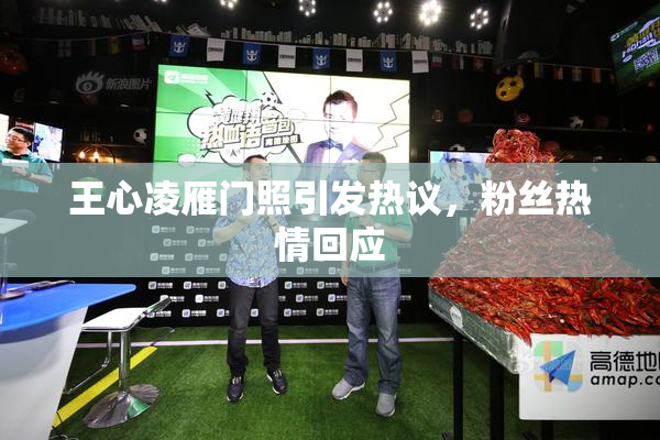 王心凌雁门照引发热议，粉丝热情回应
