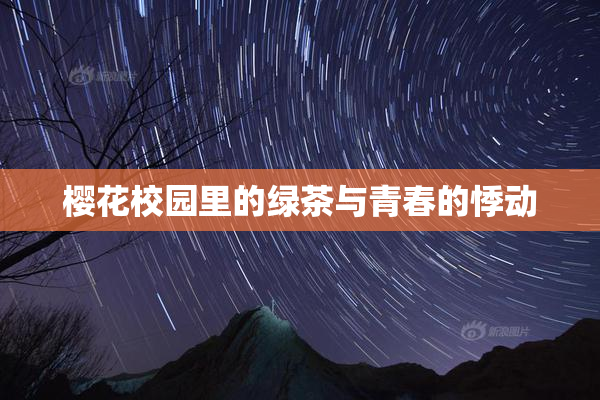 樱花校园里的绿茶与青春的悸动