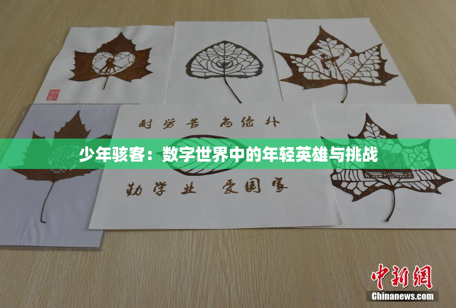 少年骇客：数字世界中的年轻英雄与挑战