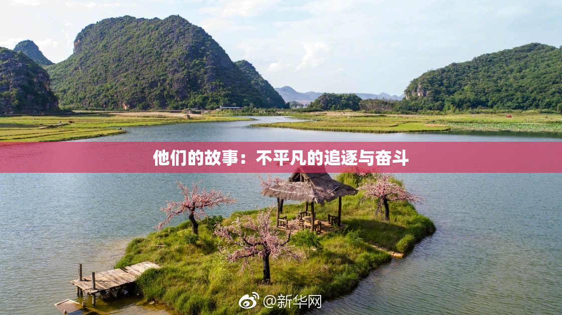他们的故事：不平凡的追逐与奋斗