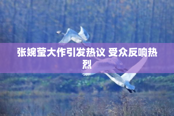 张婉莹大作引发热议 受众反响热烈