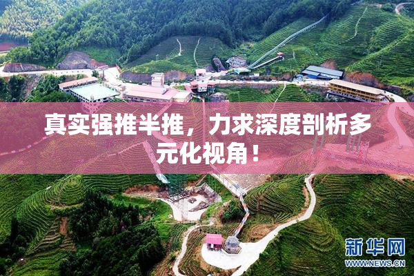 真实强推半推，力求深度剖析多元化视角！
