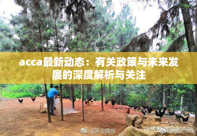 acca最新动态：有关政策与未来发展的深度解析与关注
