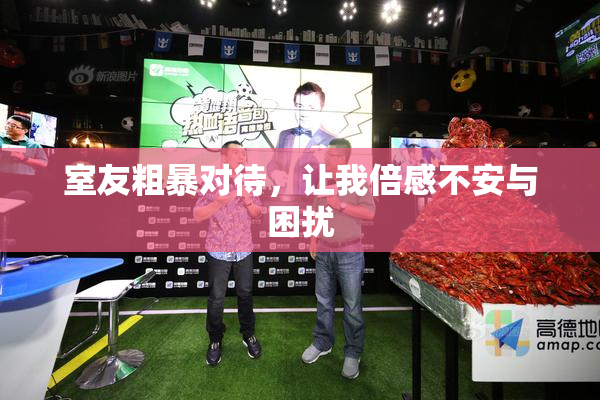 室友粗暴对待，让我倍感不安与困扰