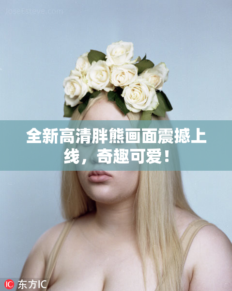 全新高清胖熊画面震撼上线，奇趣可爱！