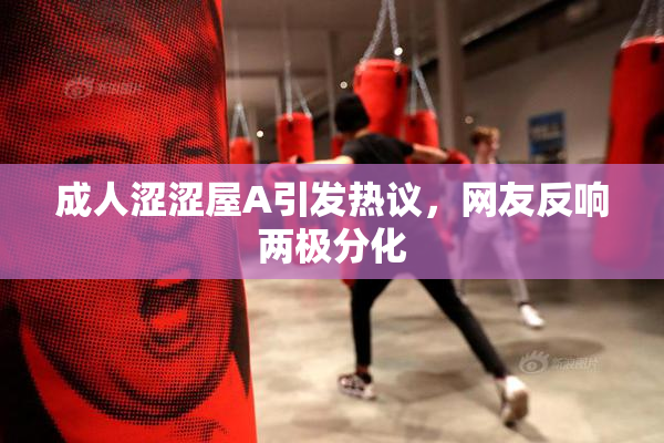 成人涩涩屋A引发热议，网友反响两极分化