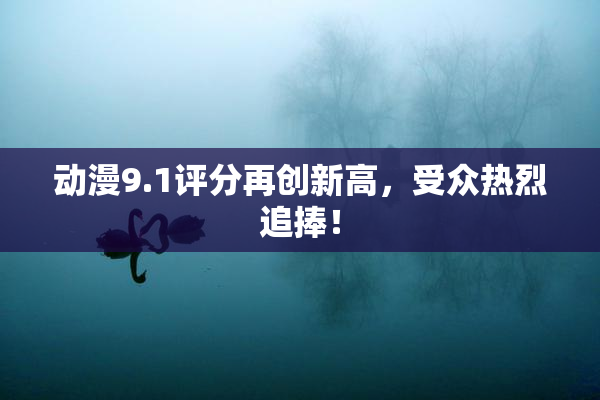 动漫9.1评分再创新高，受众热烈追捧！