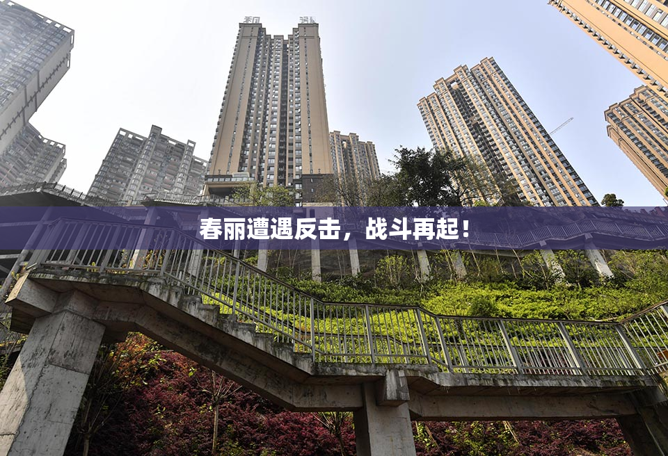 春丽遭遇反击，战斗再起！