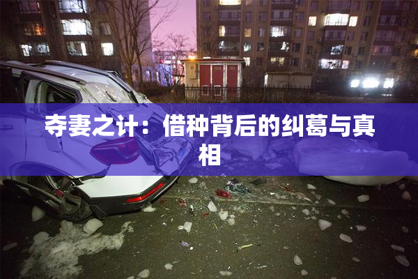 夺妻之计：借种背后的纠葛与真相