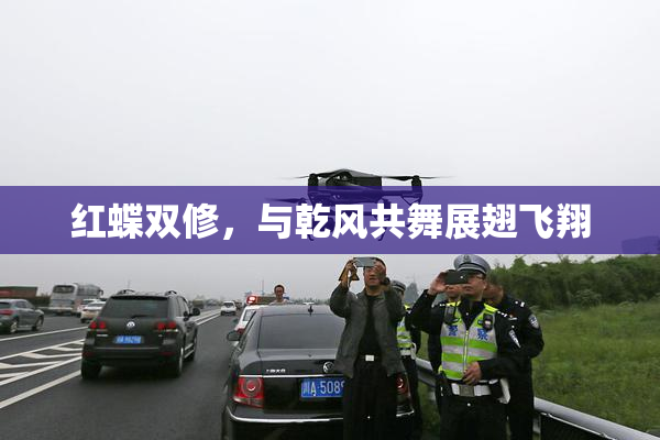 红蝶双修，与乾风共舞展翅飞翔