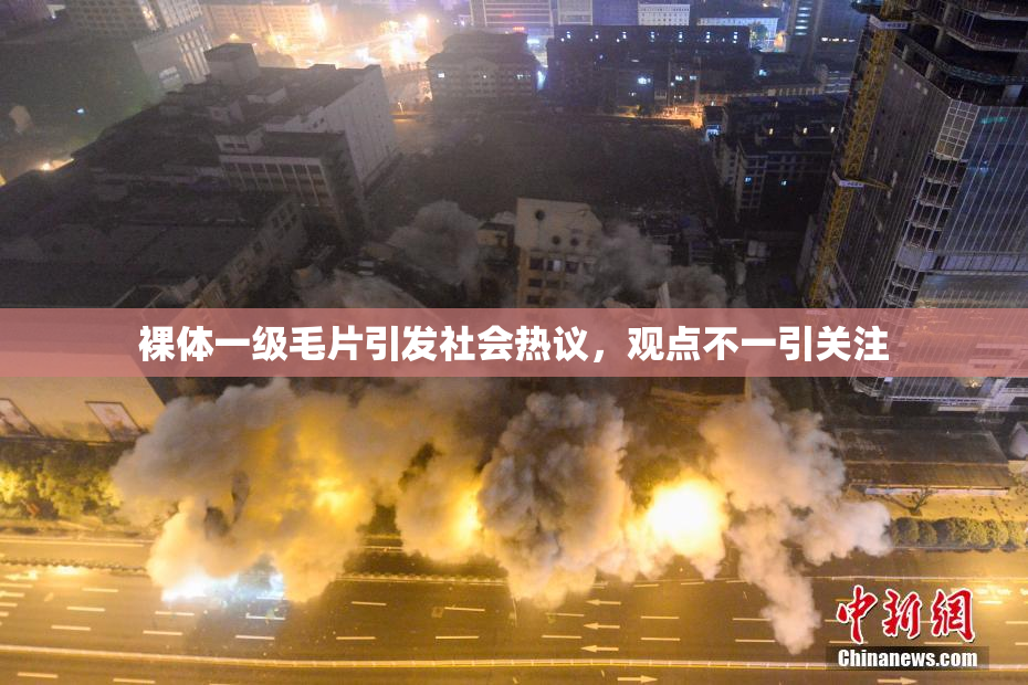 裸体一级毛片引发社会热议，观点不一引关注