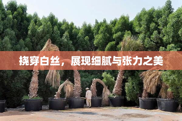 挠穿白丝，展现细腻与张力之美
