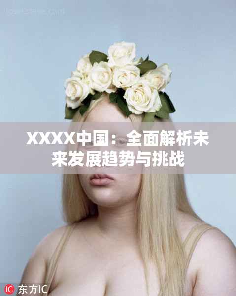XXXX中国：全面解析未来发展趋势与挑战