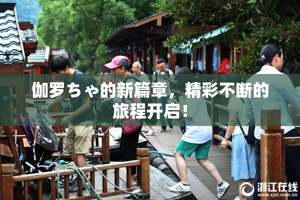 伽罗ちゃ的新篇章，精彩不断的旅程开启！