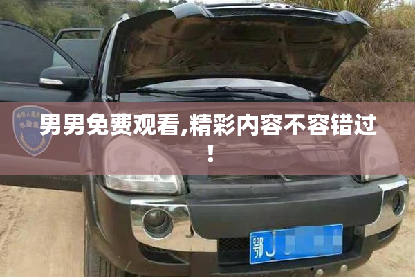 男男免费观看,精彩内容不容错过！