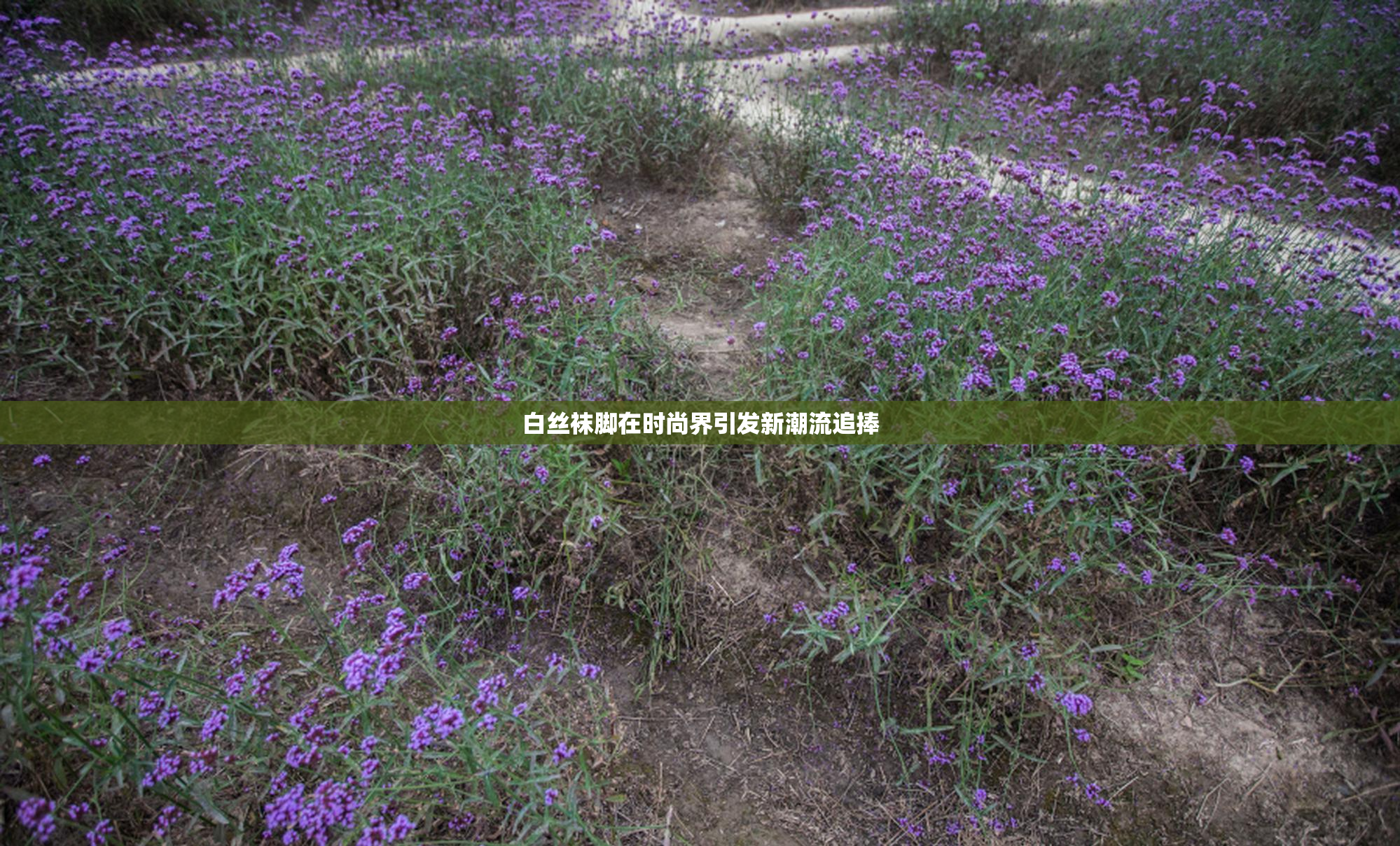 白丝袜脚在时尚界引发新潮流追捧