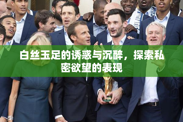 白丝玉足的诱惑与沉醉，探索私密欲望的表现