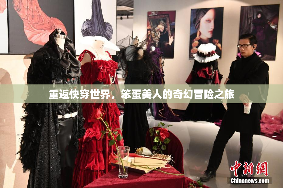 重返快穿世界，笨蛋美人的奇幻冒险之旅