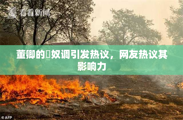 董卿的婬奴调引发热议，网友热议其影响力