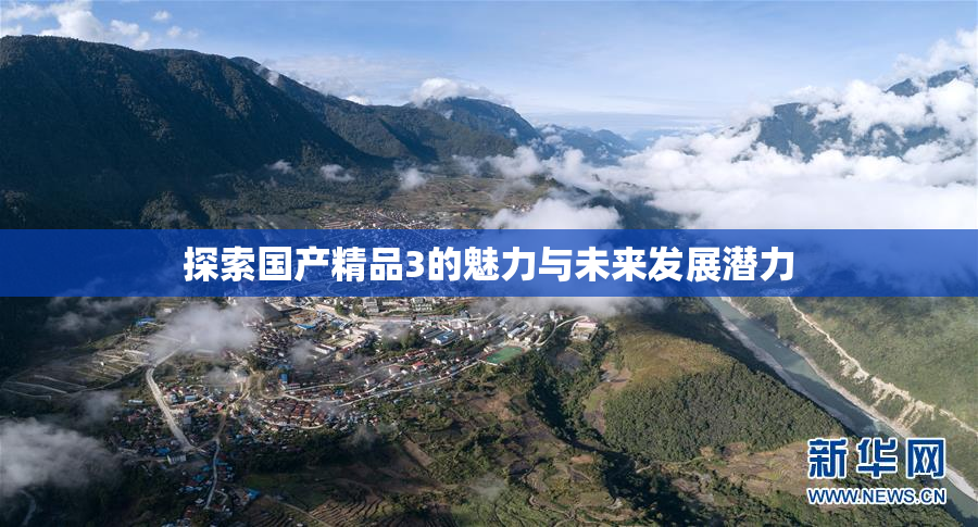 探索国产精品3的魅力与未来发展潜力